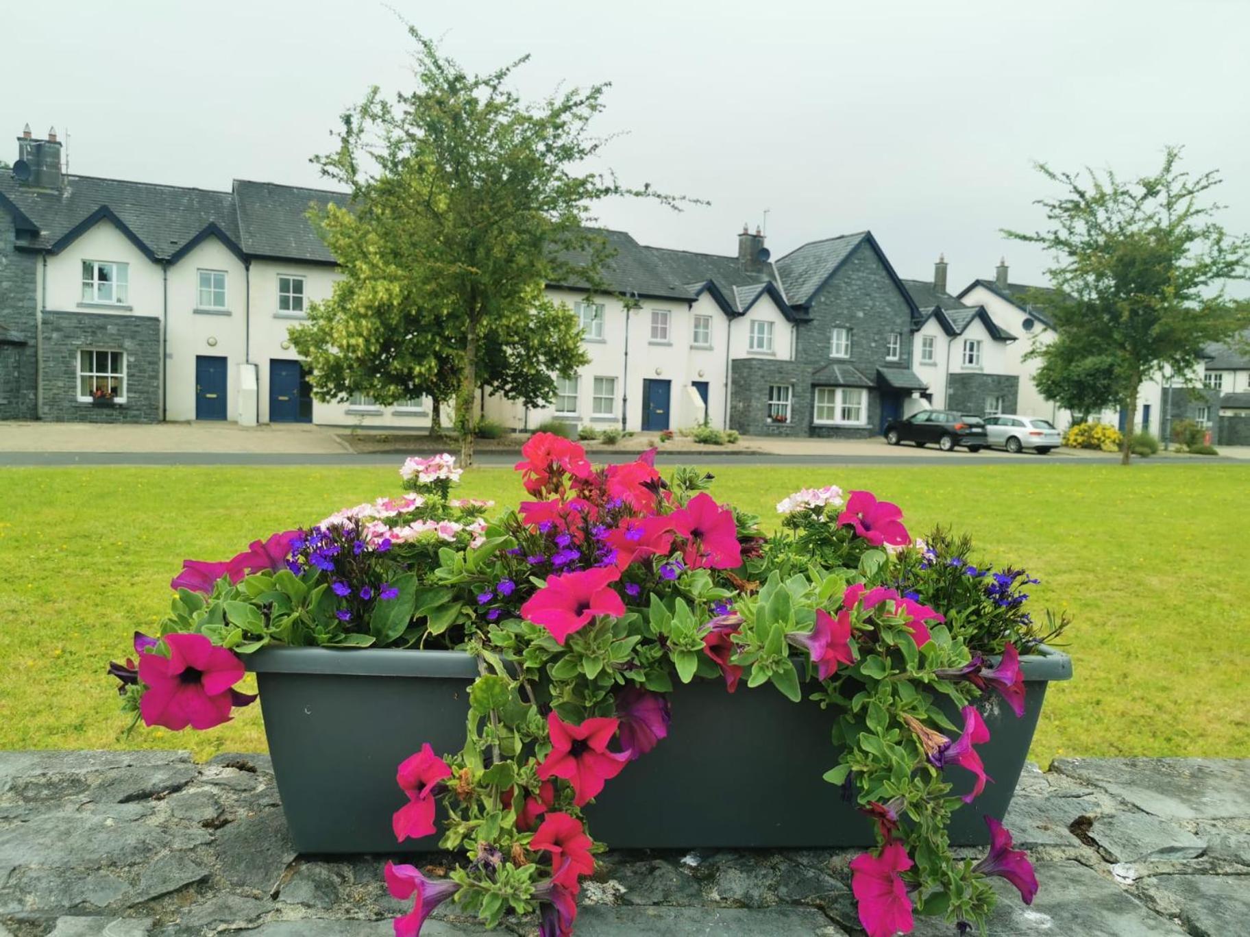 Bunratty Holiday Homes Kültér fotó